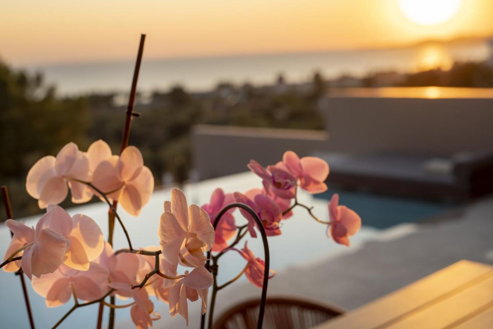 Lithos Villas - Nikiti Halkidiki Exterior photo